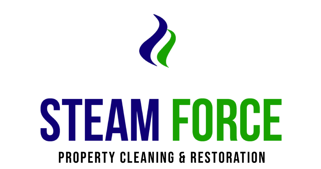 Steam Force
